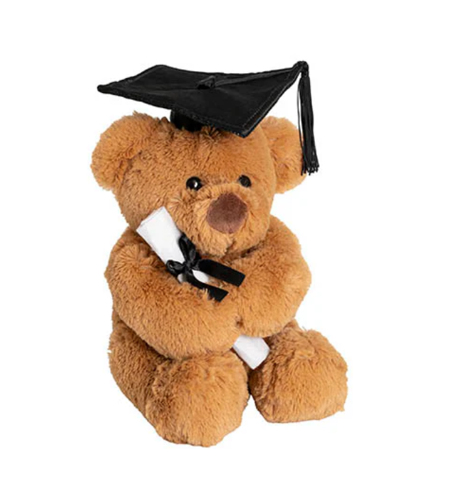 Graduation Teddy Bear Harvey Plush Soft Toy Brown (20cmST)